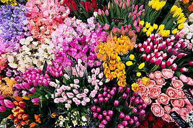 《机甲战士5：部落》GDC 2024 Demo预告片